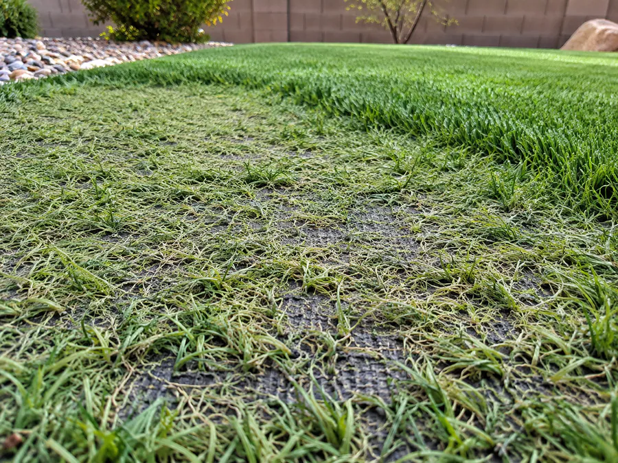 Heavily worn artificial turf with sparse fibers and patches of backing visible