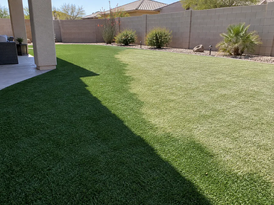 Arizona backyard turf showing a clear contrast between shaded green fibers and faded sun-exposed fibers