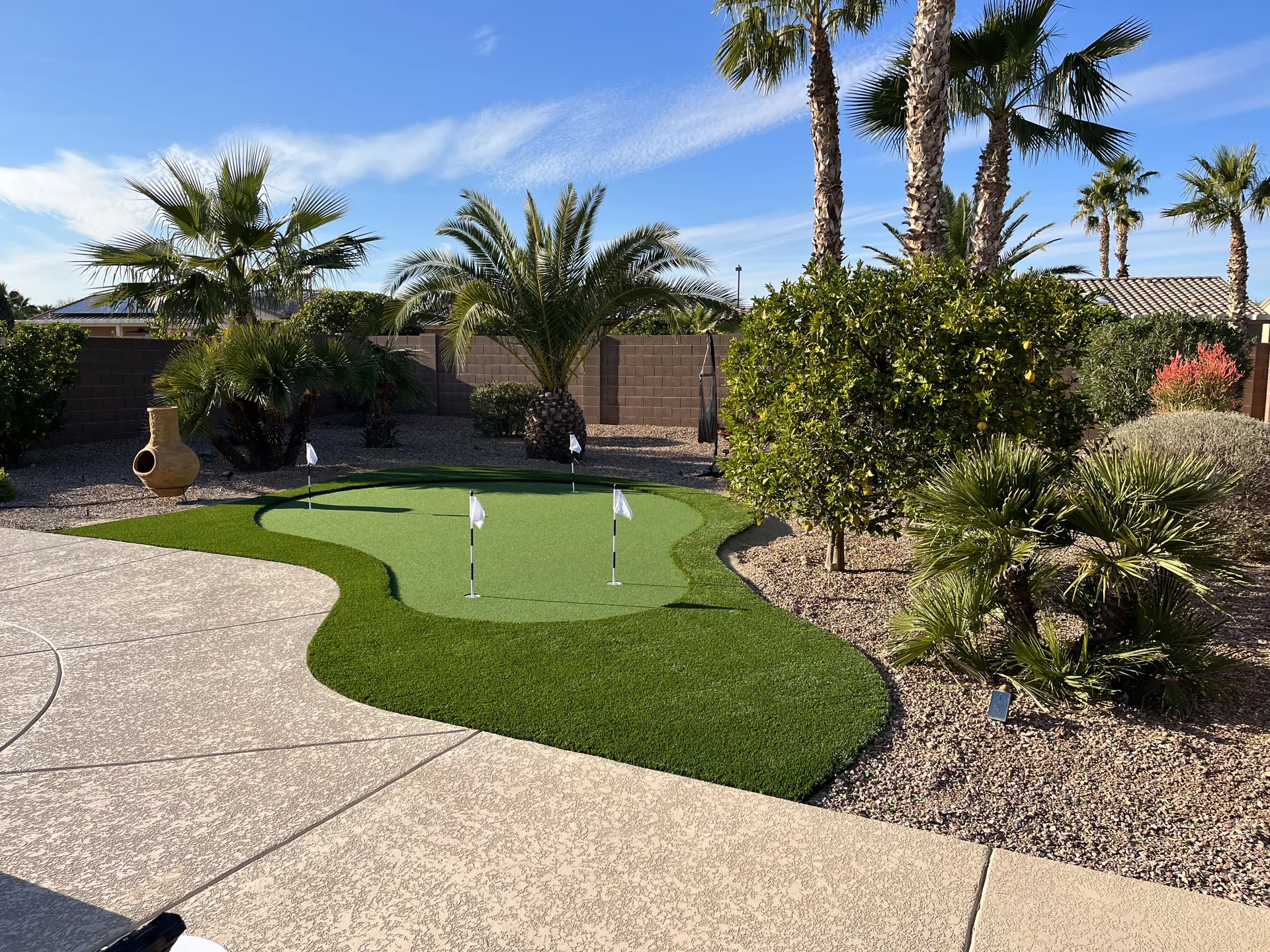 Putting green with palm trees